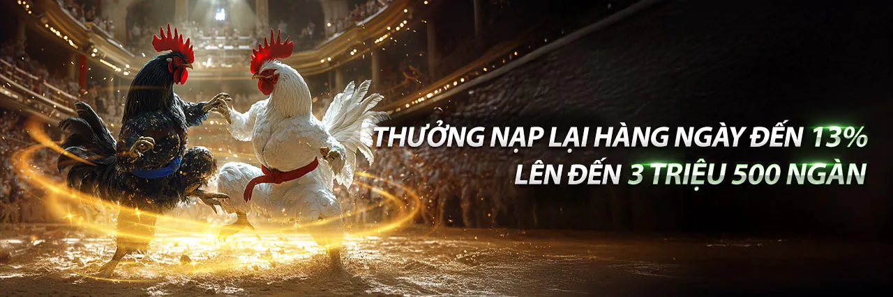 Hình ảnh đá gà kịch tính tại kuwin2 nhà cái